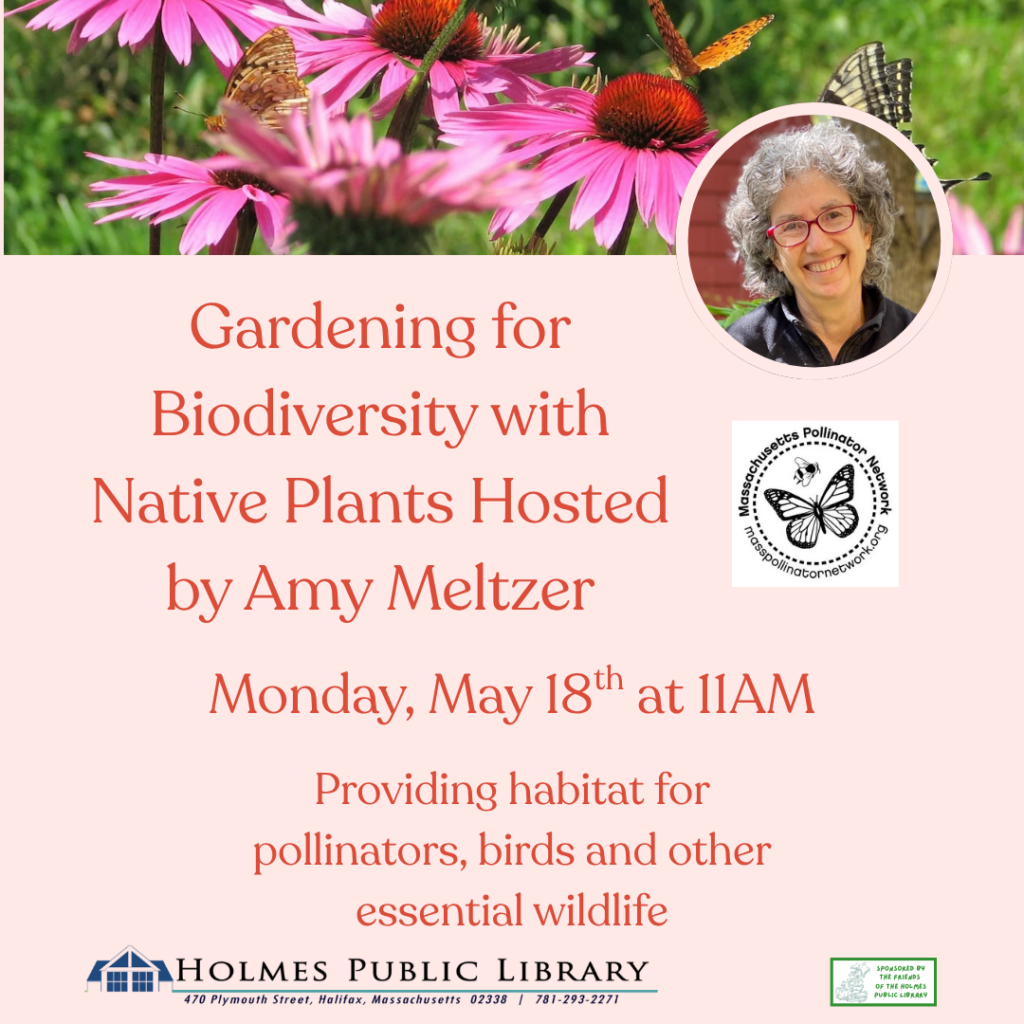 Pollinator Talk - Social (2)