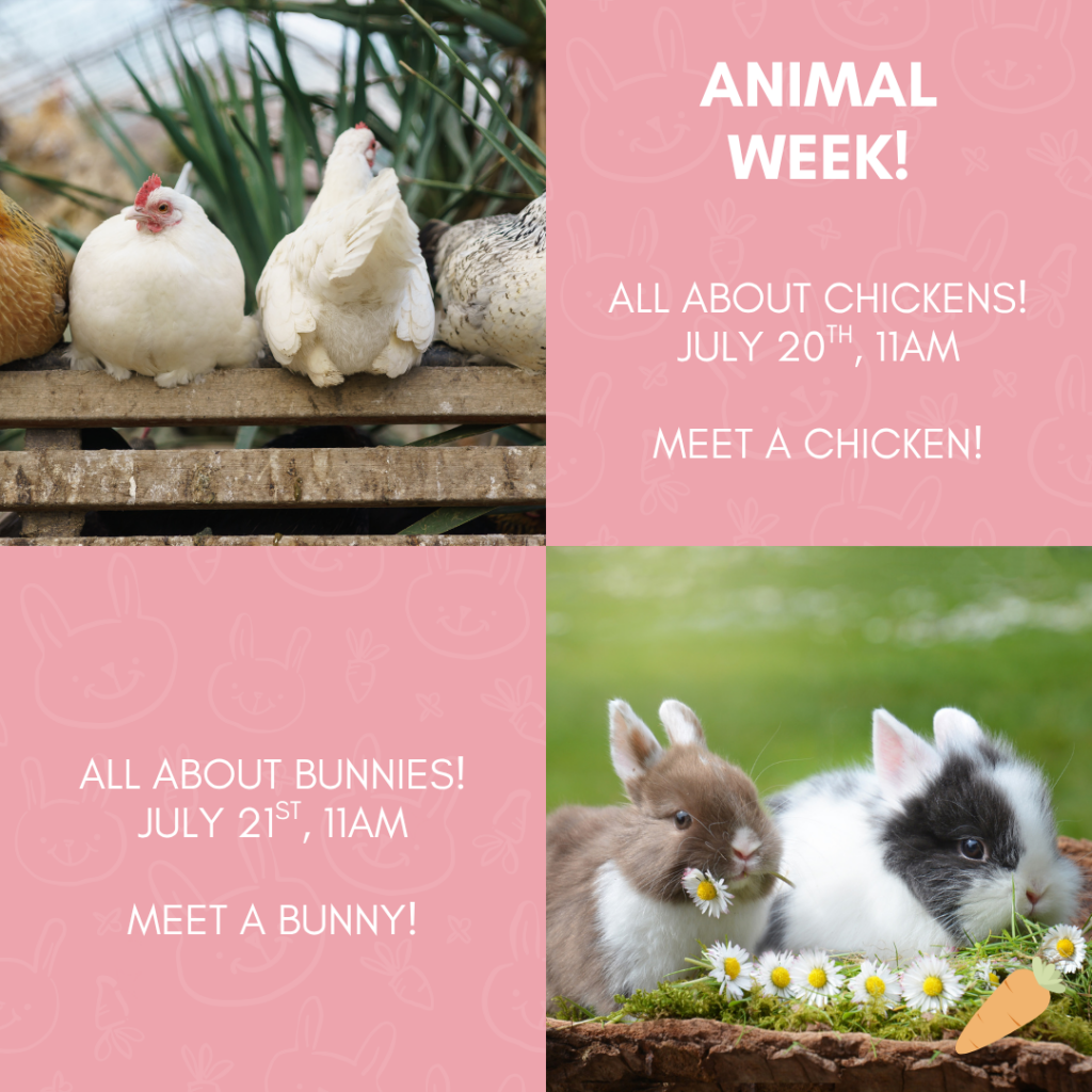 Animal_WEEK