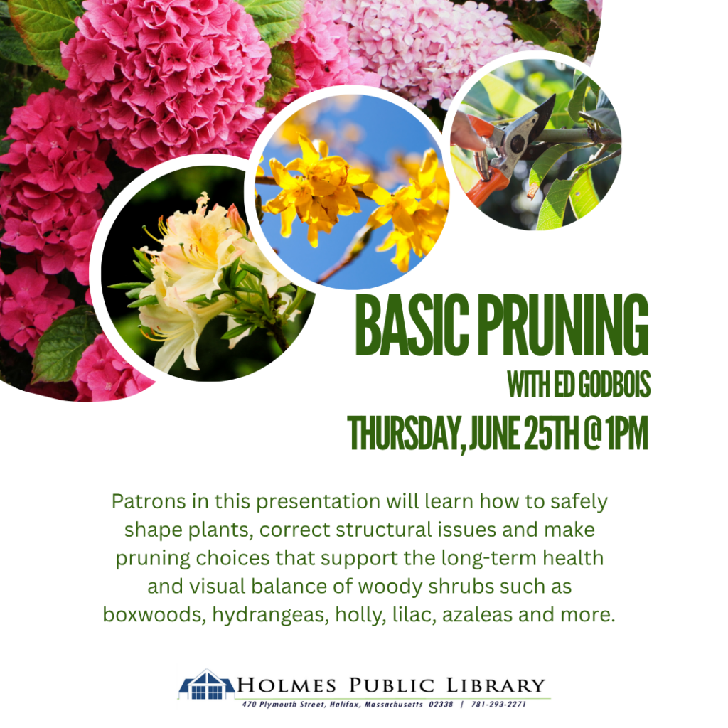 Pruning 101 - Social (1)